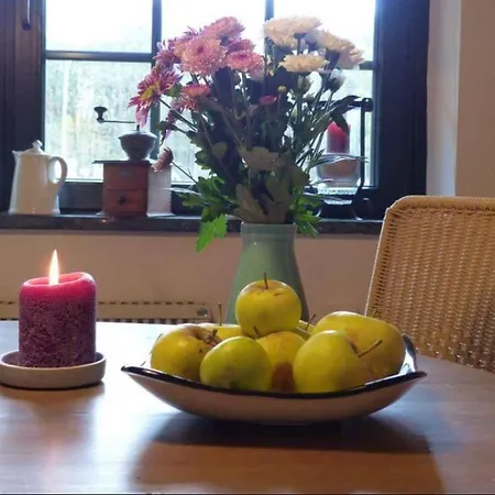 Darsser Strandgut - Haus Butzek Casa de Férias Ahrenshoop